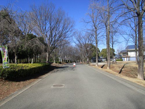 三橋総合公園の画像