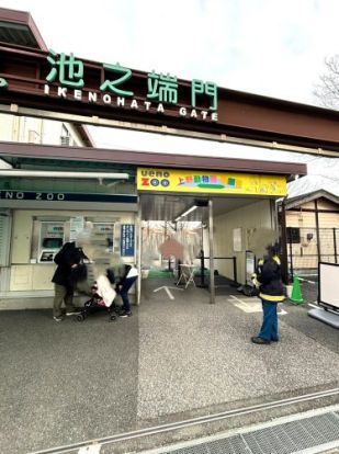 恩賜上野動物園の画像