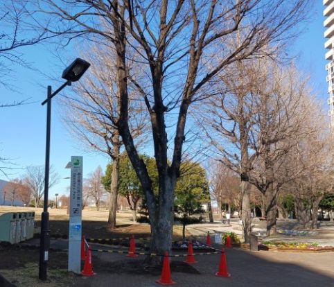 都立尾久の原公園の画像