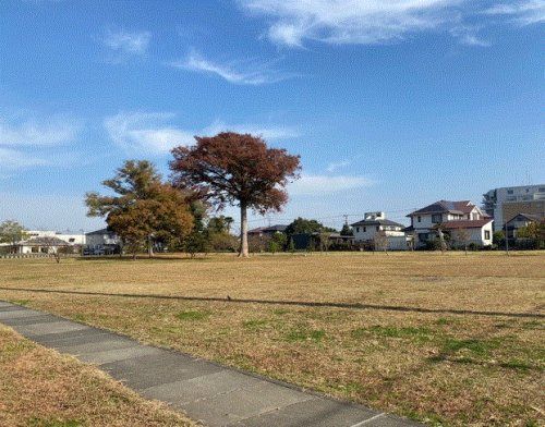 中野公園の画像