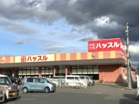 ハッスル 高野口店の画像