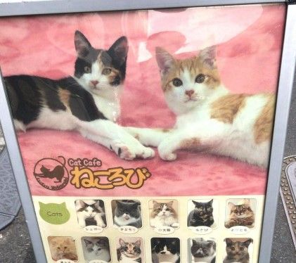 Cat Cafe(キャット カフェ) ねころびの画像