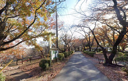 清水寺公園の画像