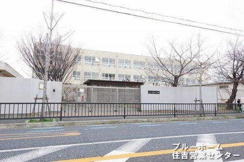 堺市立浅香山小学校の画像