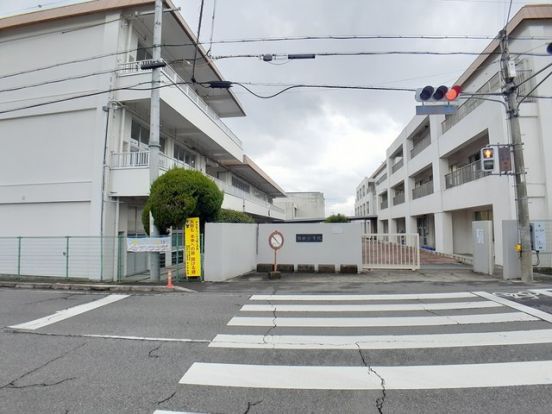 橋本市立隅田小学校の画像