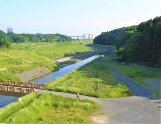 桜川緑地の画像