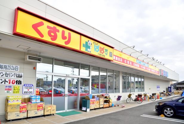 どらっぐぱぱす 八潮大瀬店の画像