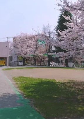 杉並東洋幼稚園の画像