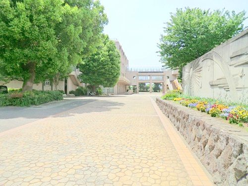 厚木市立藤塚中学校の画像