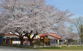 認定こども園さわきこども園の画像