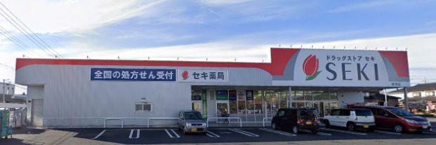 ドラッグストア セキ 加須店の画像