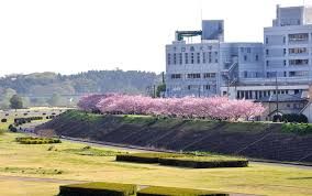 思川緑地の画像