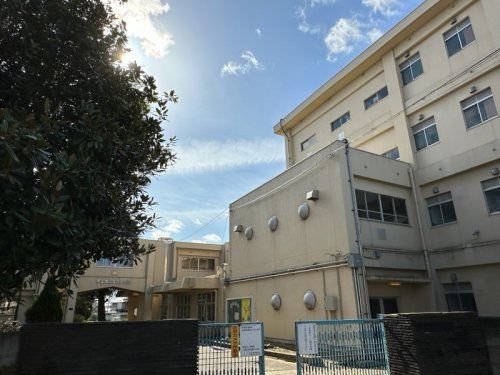 千葉市立大森小学校の画像