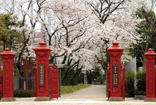 学習院女子大学の画像