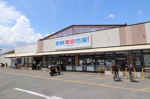 新鮮激安市場　久我の杜店の画像