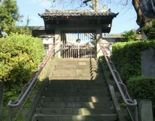 東福寺の画像
