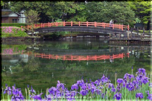 早水公園の画像