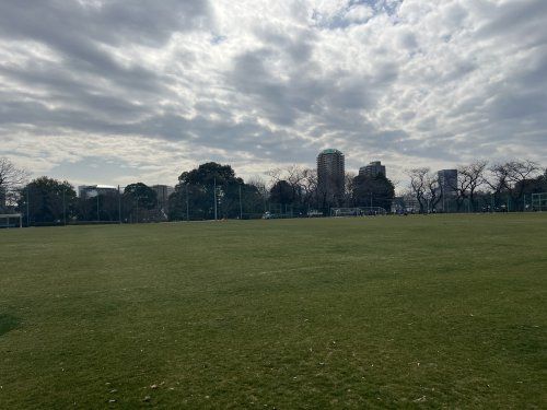 目白台運動公園の画像