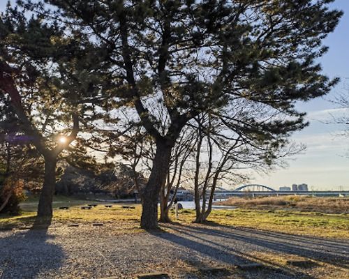 多摩川緑地広場・多目的広場の画像