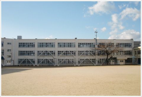 羽曳野市立高鷲小学校の画像