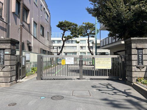 目黒区立駒場小学校の画像