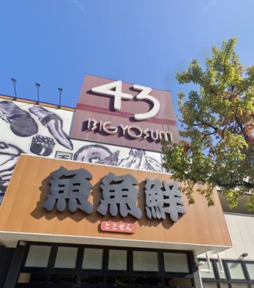 BIG YOSUN(ビッグ ヨーサン) 横浜都築店の画像