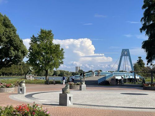 水元公園の画像