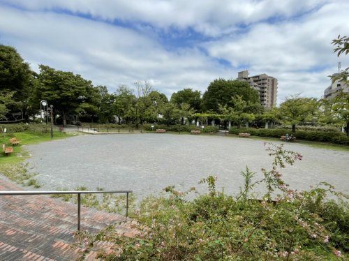 青井ふれあい公園の画像