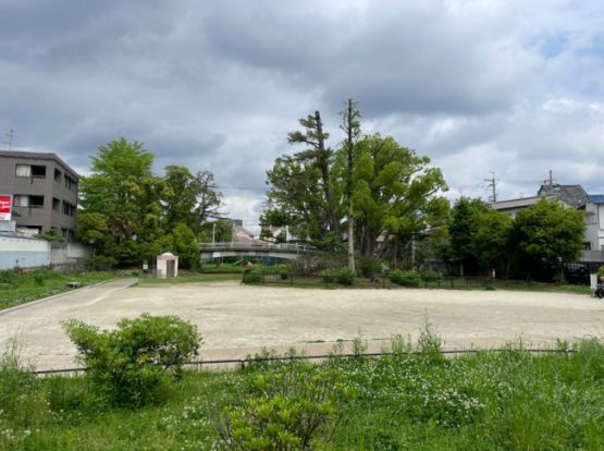 萩の寺公園の画像