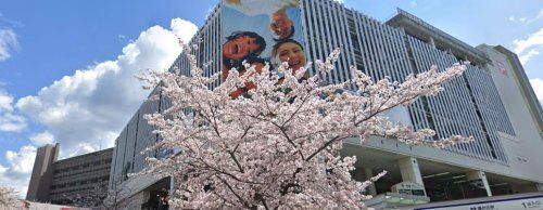 成城石井名古屋藤ヶ丘エフ店の画像