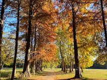 秋ヶ瀬公園の画像