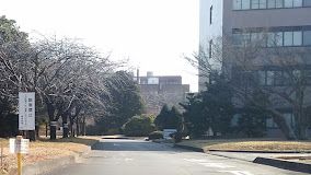 茨城大学 阿見キャンパスの画像