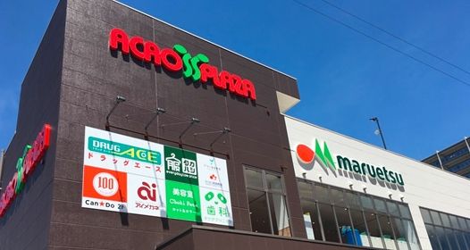 ドラッグエース アクロスプラザ坂戸店の画像