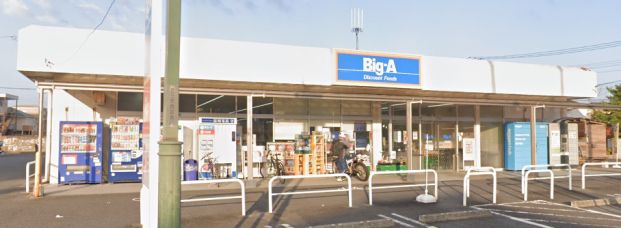 Big-A 川口芝店の画像