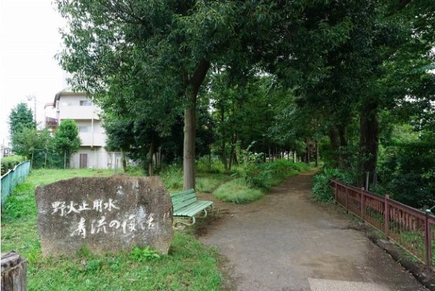 野火止緑地の画像