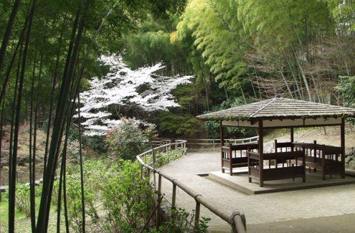 史跡高井田横穴公園の画像