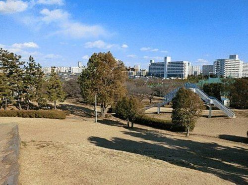 中央公園の画像