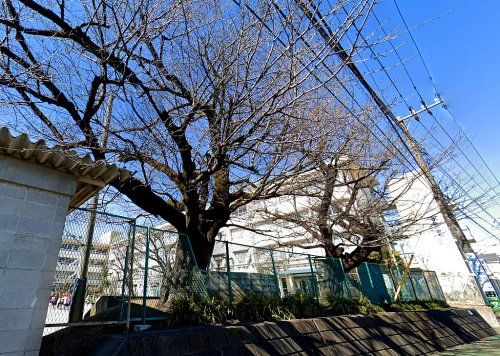 おおさわ学園 三鷹市立大沢台小学校の画像