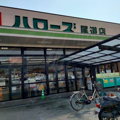 ハローズ 尾道店の画像