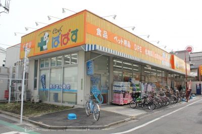 どらっぐぱぱす 町屋店の画像