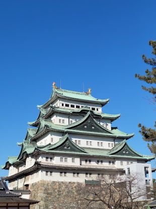 名古屋城の画像