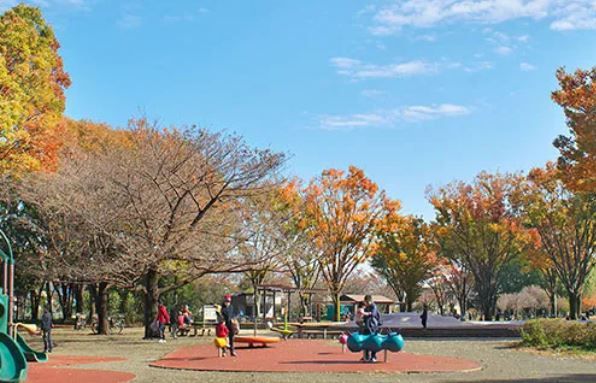 都立 東村山中央公園の画像
