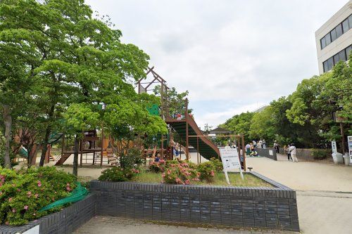 込田公園の画像