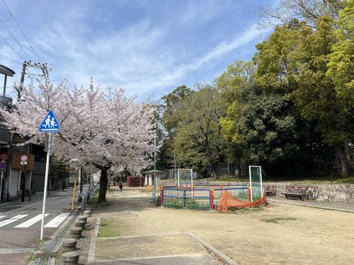 山坂公園の画像