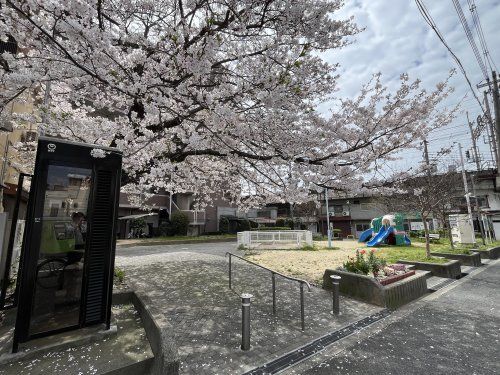 北田辺公園の画像