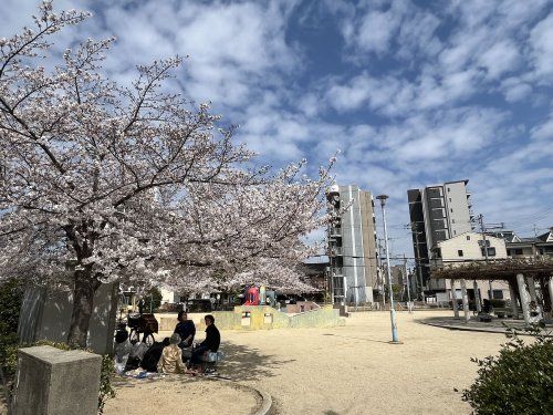 桑津東公園の画像