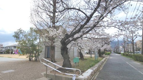 宮塚公園の画像