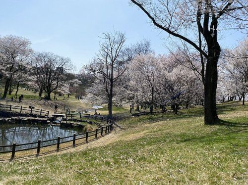 呉羽山公園都市緑化植物園の画像