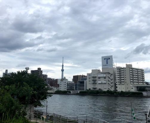 あやめ第二公園の画像