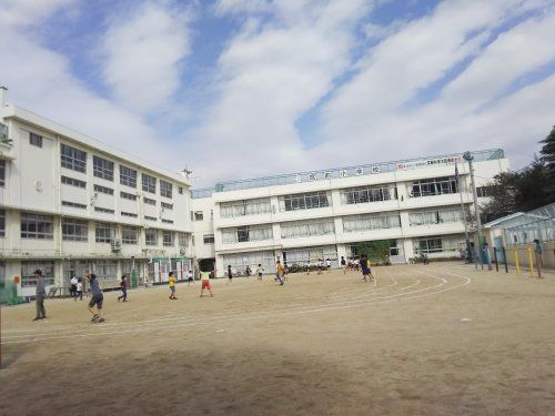 品川区立宮前小学校の画像